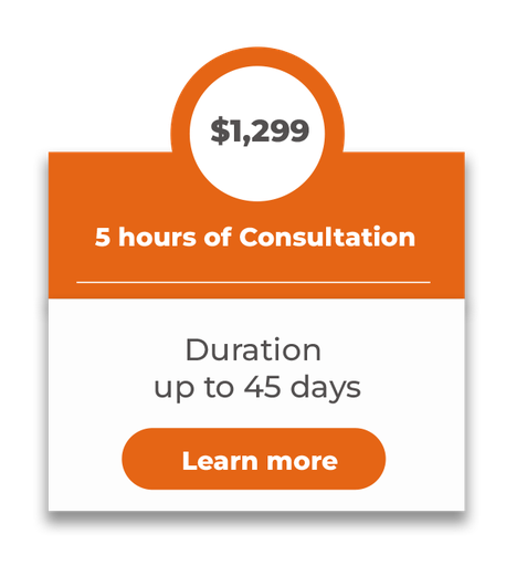 5 Hour Consultation