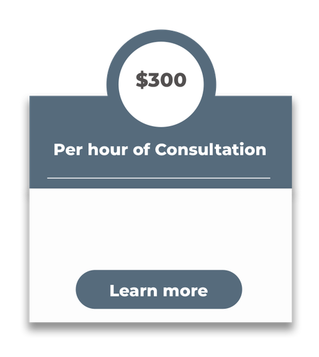 Per hour Consultation